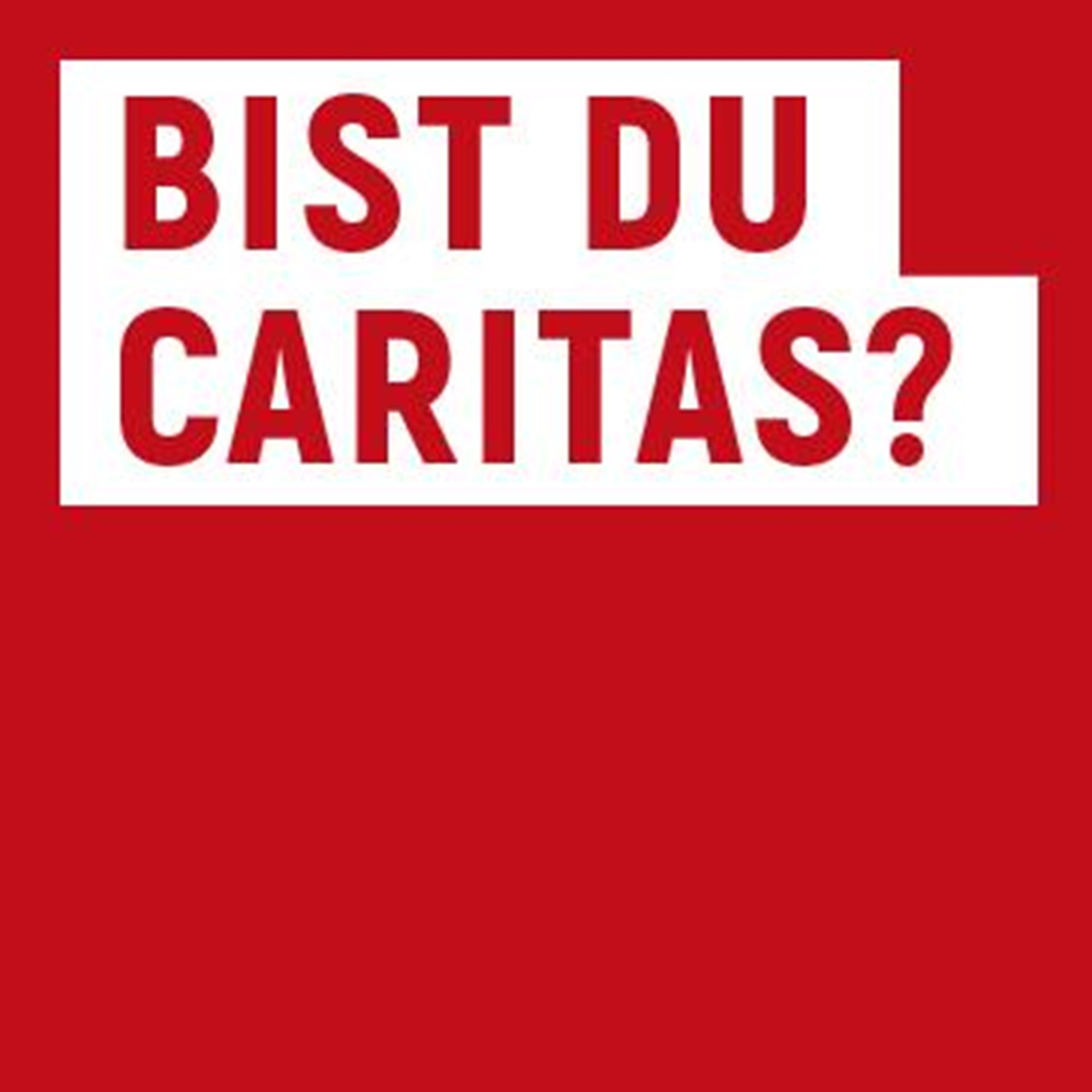 Caritas_Jobseite Sidebar Bist Du Caritas 363PX_ohne